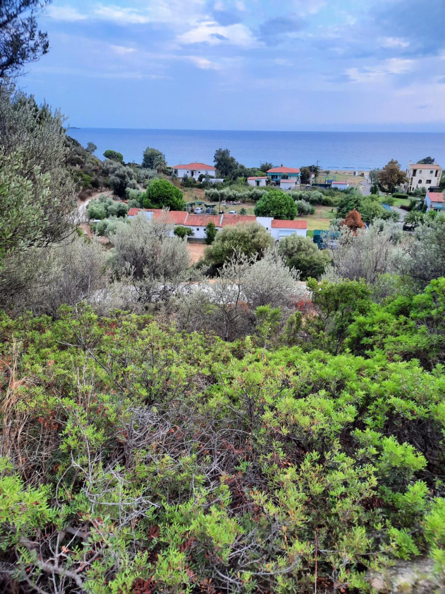 Bungalows Anestis Toroni Extérieur photo